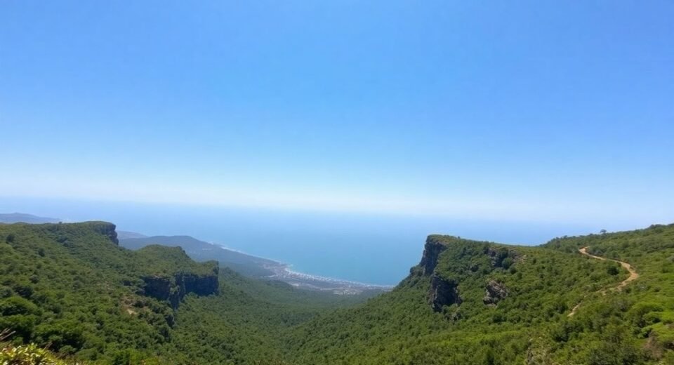 Trilho da Peninha: Natureza e vistas de cortar a respiração - InBrief