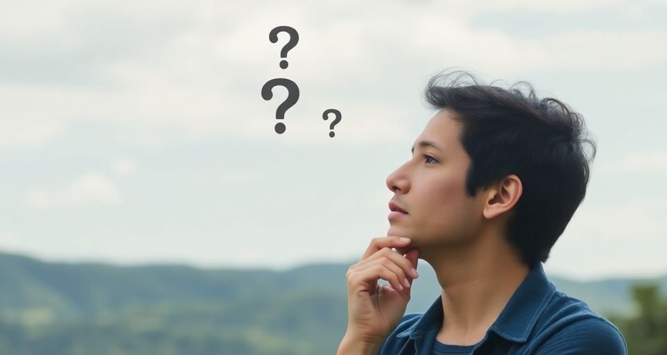 Três Perguntas Simples para Melhorar a Sua Vida - InBrief