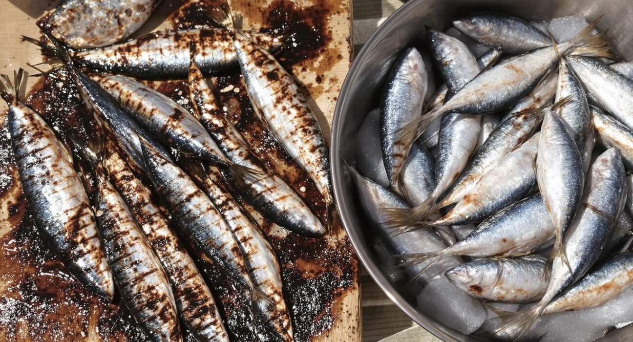 Sardinha de Junho É a Melhor? Descubra Antes de Grelhar - InBrief - Simples, Direto, Essencial