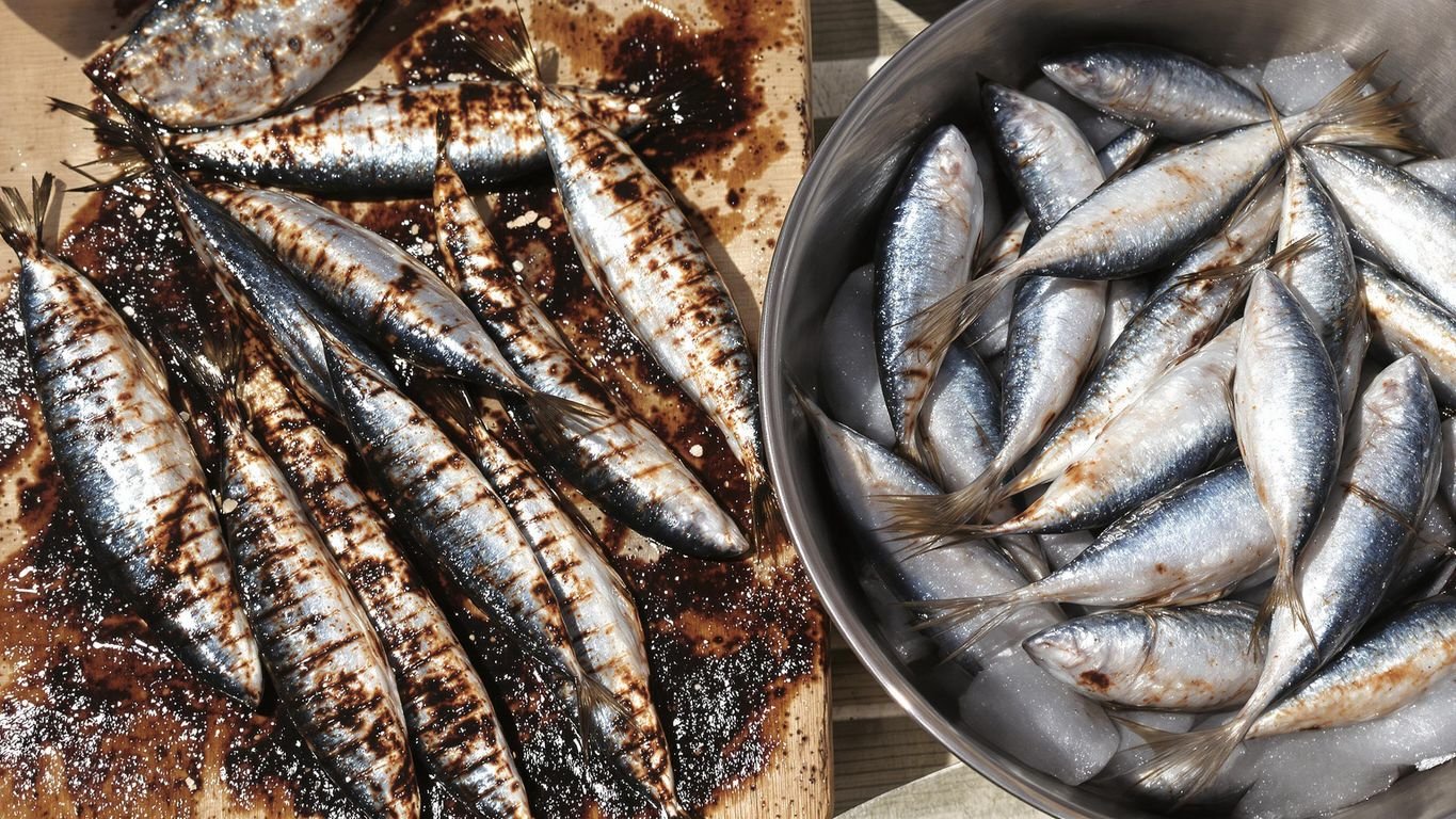 Sardinha de Junho É a Melhor? Descubra Antes de Grelhar - InBrief