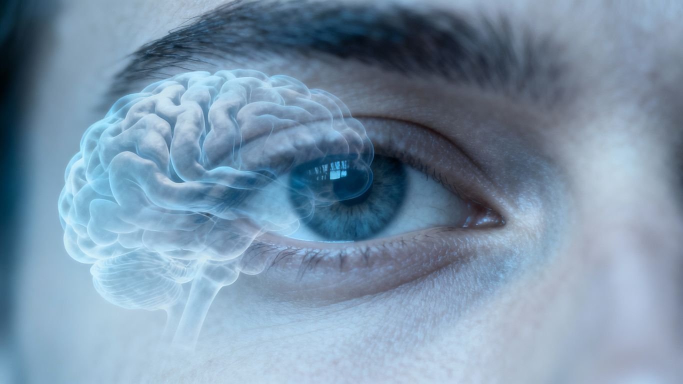 Sementes Que Ajudam a Proteger a Visão Após os 50 - InBrief